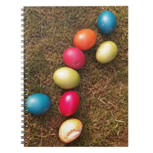 Colourful Painted Eggs in Garden, Easter Egg Notebook