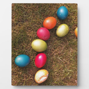 Colourful Painted Eggs in Garden, Easter Egg Plaque