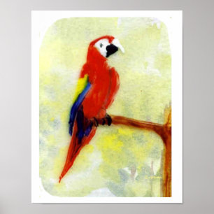 Colourful Painting Macaw Parrot Poster