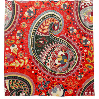 Colourful Paisley Indian Seamless Pattern Shower Curtain