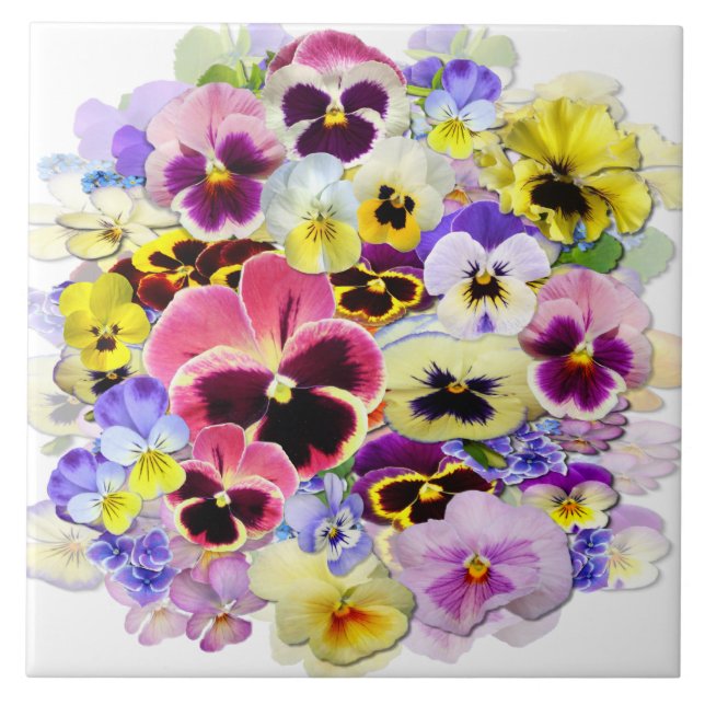Colourful Pansies Ceramic Tile (Front)