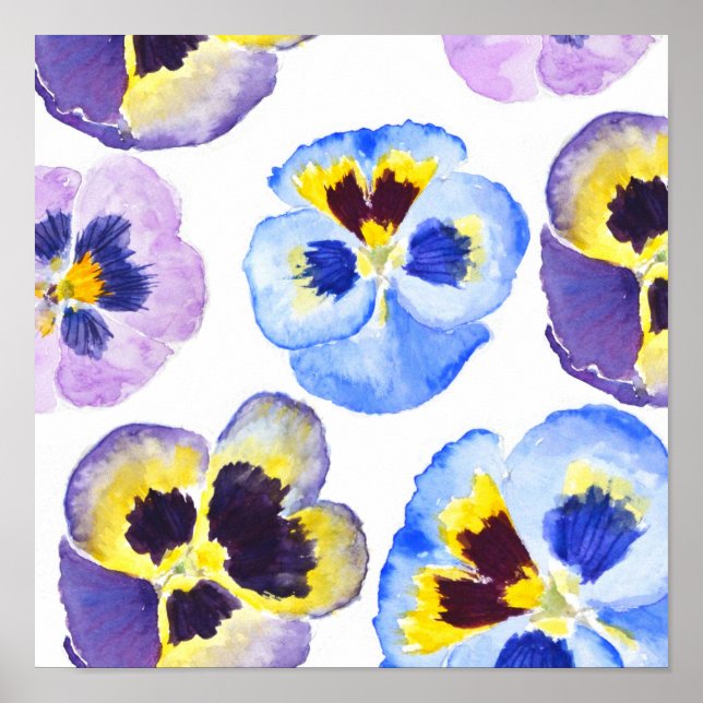 Colourful pansies collection watercolor painting  poster (Front)