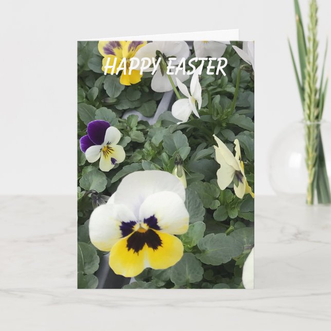 Colourful Pansies  Easter Holiday Card (Front)