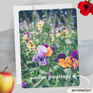 Colourful pansies in a summer country garden holiday card