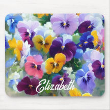 Colourful Pansies 