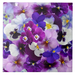 Colourful Pansies, pretty flowers, Ceramic Tile