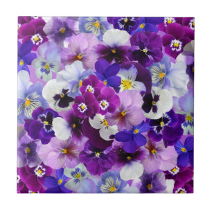 Colourful Pansies, Pretty Flowers, Ceramic Tile