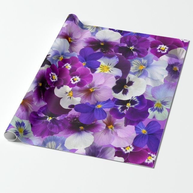 Colourful Pansies, Pretty Flowers, Wrapping Paper (Unrolled)