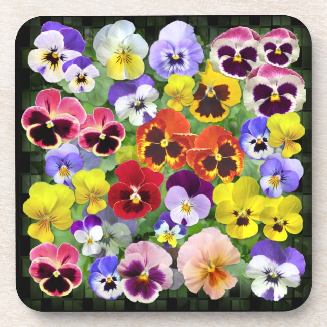 Colourful Pansy Display Coaster (Front)