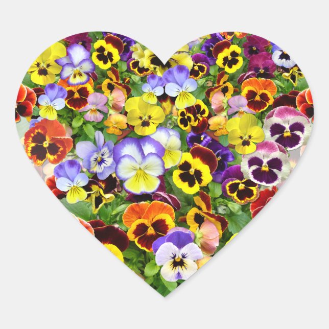 Colourful Pansy Display Heart Heart Sticker (Front)