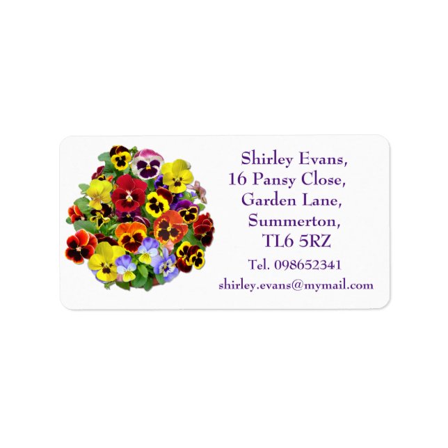 Colourful Pansy Display Label (Front)