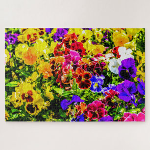 Colourful Pansy Flowers Jigsaw Puzzle
