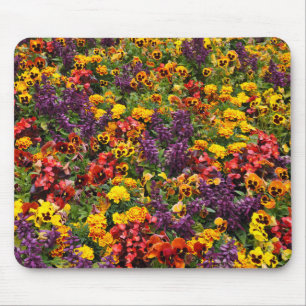 Colourful pansy flowers mouse pad
