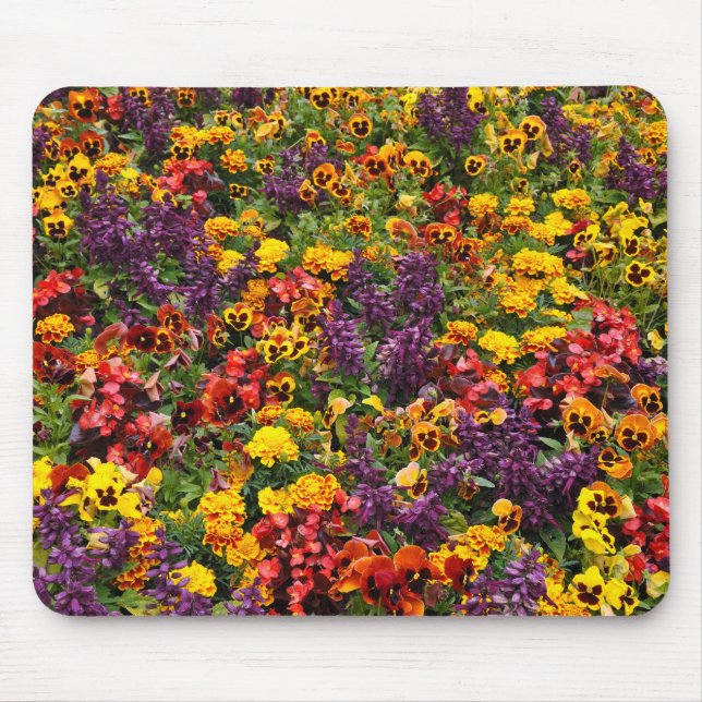 Colourful pansy flowers mouse pad (Front)