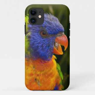 Colourful parakeet iPhone 11 case