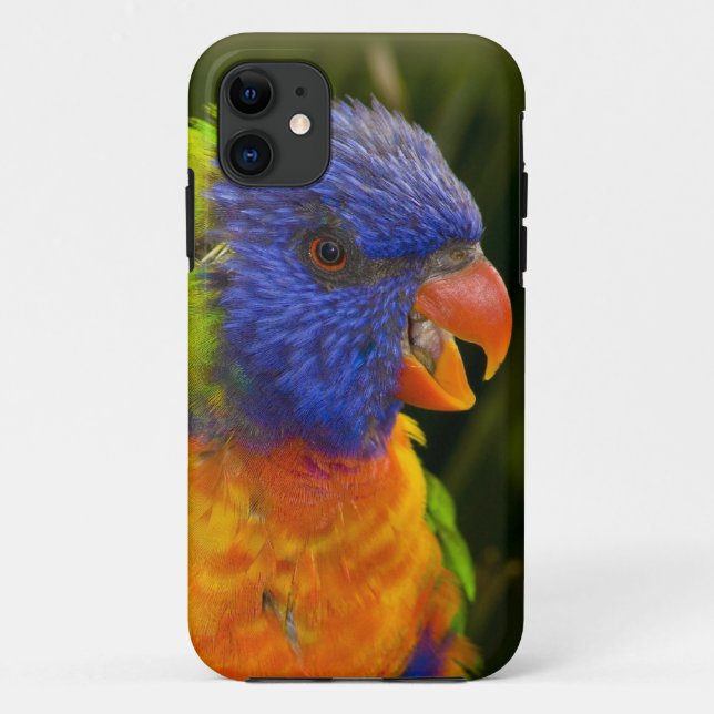 Colourful parakeet Case-Mate iPhone case (Back)