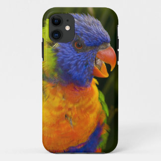 Colourful parakeet iPhone 11 case