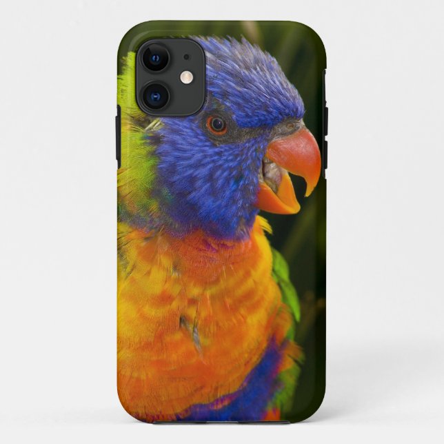 Colourful parakeet Case-Mate iPhone case (Back)