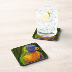 Colourful parakeet coaster