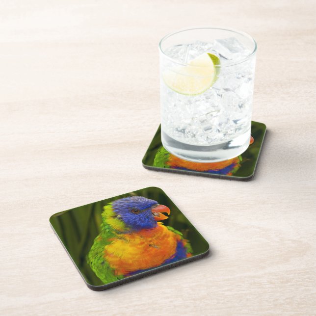 Colourful parakeet coaster (Right Side)