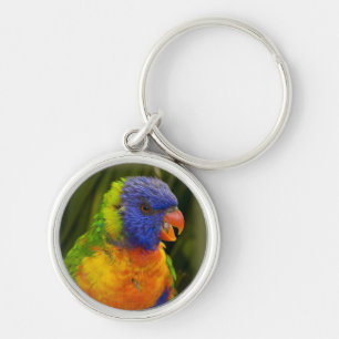 Colourful parakeet key ring