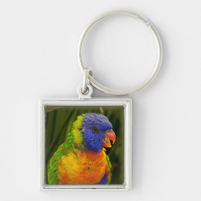 Colourful parakeet key ring (Front)