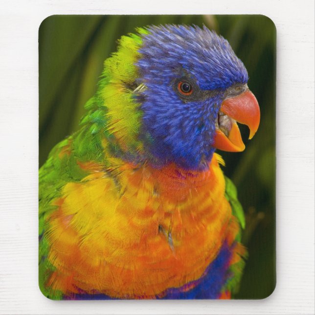 Colourful parakeet mouse pad (Front)