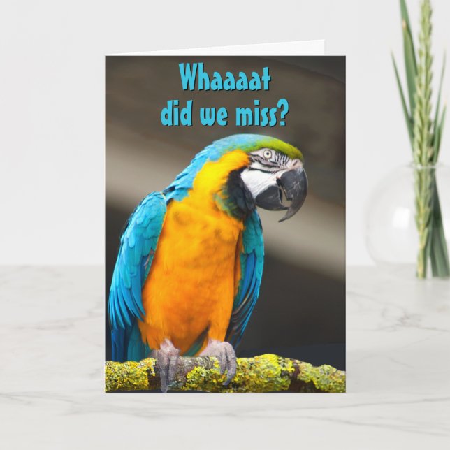 Colourful Parrot Belated Birthday Template (Front)