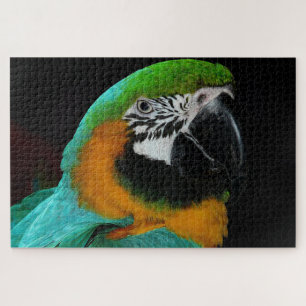 Colourful parrot bird  jigsaw puzzle
