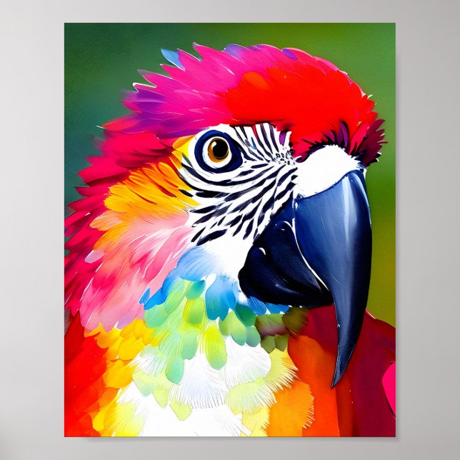 Colourful parrot  bird on a green background poster (Front)