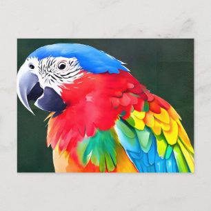 Colourful parrot bird postcard