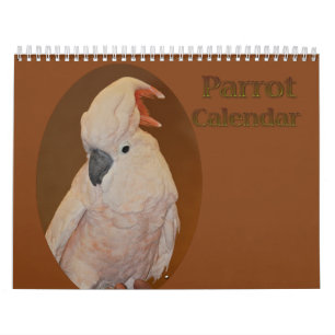 Colourful Parrot Calendar