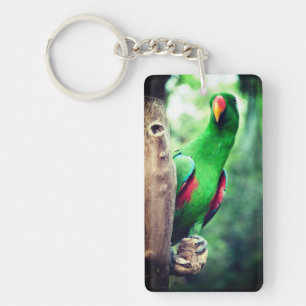 Colourful Parrot Macaw Bird Key Ring