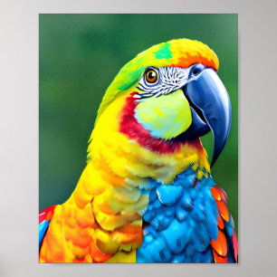 Colourful parrot on green background poster