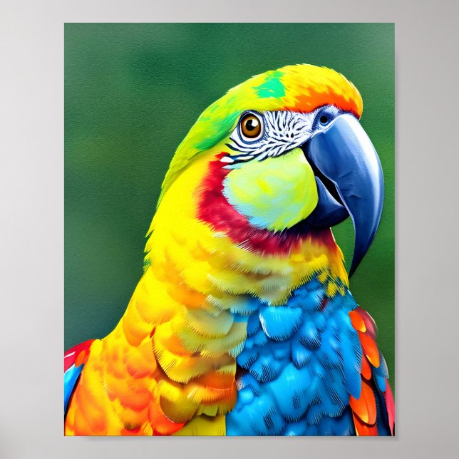 Colourful parrot on green background poster (Front)