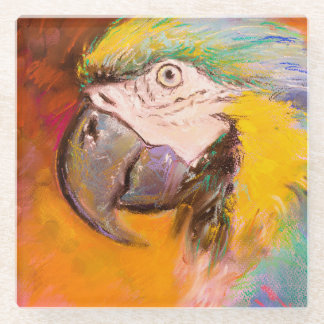 Colourful Parrot Pastel Painting Glass Coaster