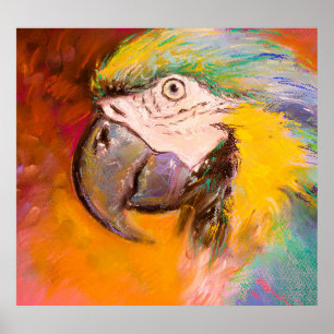 Colourful Parrot Pastel Painting Poster