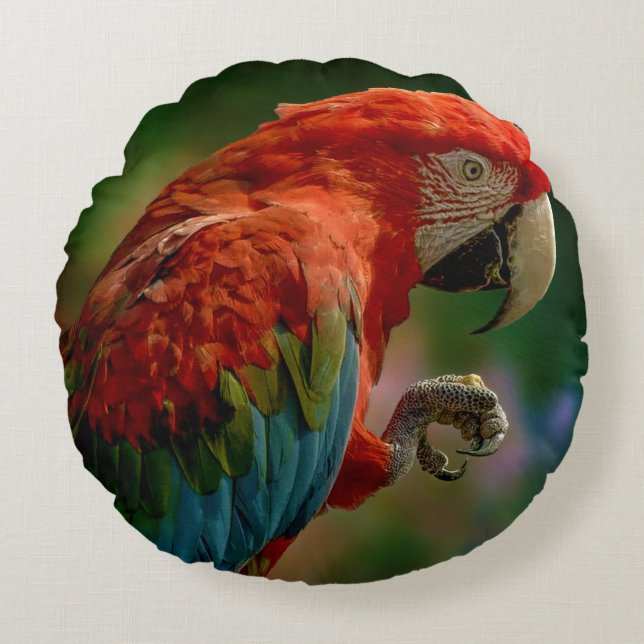 Colourful Parrot Pillow (Front)