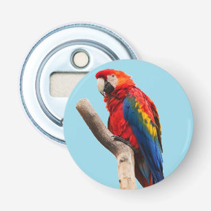 Colourful Parrot Portrait Photo Bottle Opener