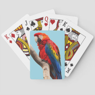 Colourful Parrot Portrait Photo Playing Cards