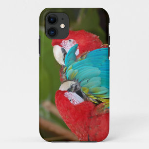 Colourful parrot print iphone case cover