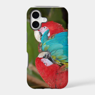 Colourful parrot print iphone case cover