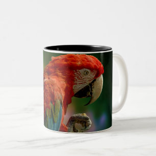 Colourful Parrot Two-Tone Coffee Mug
