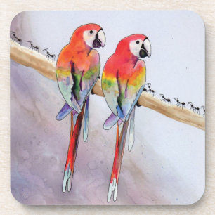 Colourful Parrots Coaster