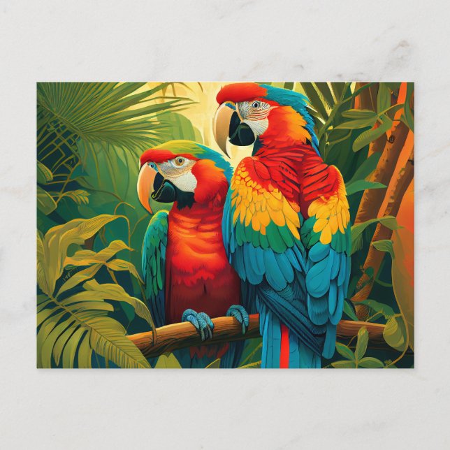 Colourful Parrots Postcard (Front)