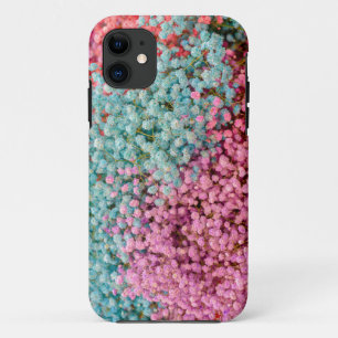 Colourful Pastel Gypsophila Baby Breath Flowers Pa iPhone 11 Case