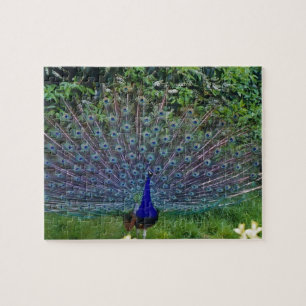 Colourful Pattern Bird Peacock Art Indian Destiny Jigsaw Puzzle