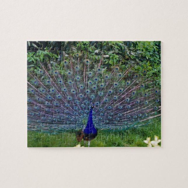 Colourful Pattern Bird Peacock Art Indian Destiny Jigsaw Puzzle (Horizontal)