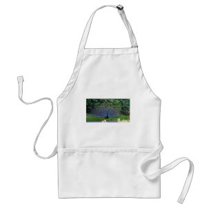 Colourful Pattern Bird Peacock Art Indian Destiny Standard Apron