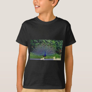Colourful Pattern Bird Peacock Art Indian Destiny T-Shirt